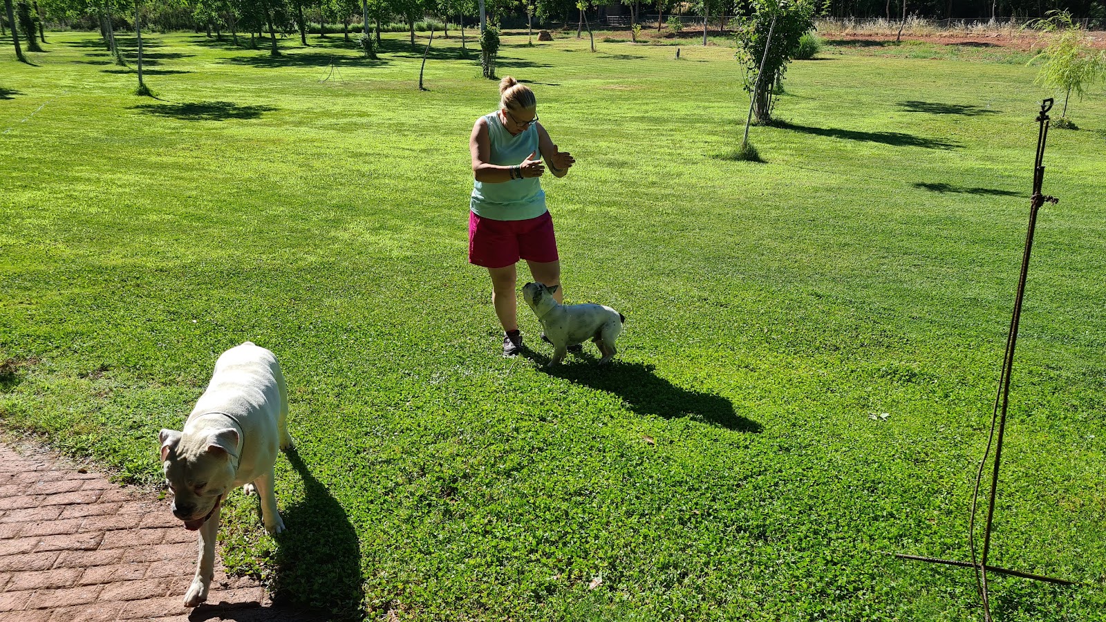 Clínica veterinaria Clínica Veterinaria Zoo Centro