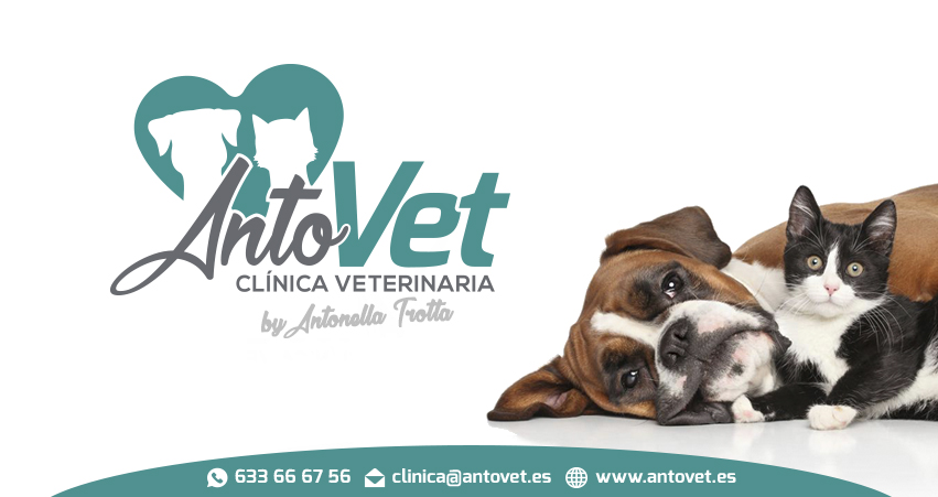 Clínica veterinaria ANTOVET Clínica Veterinaria