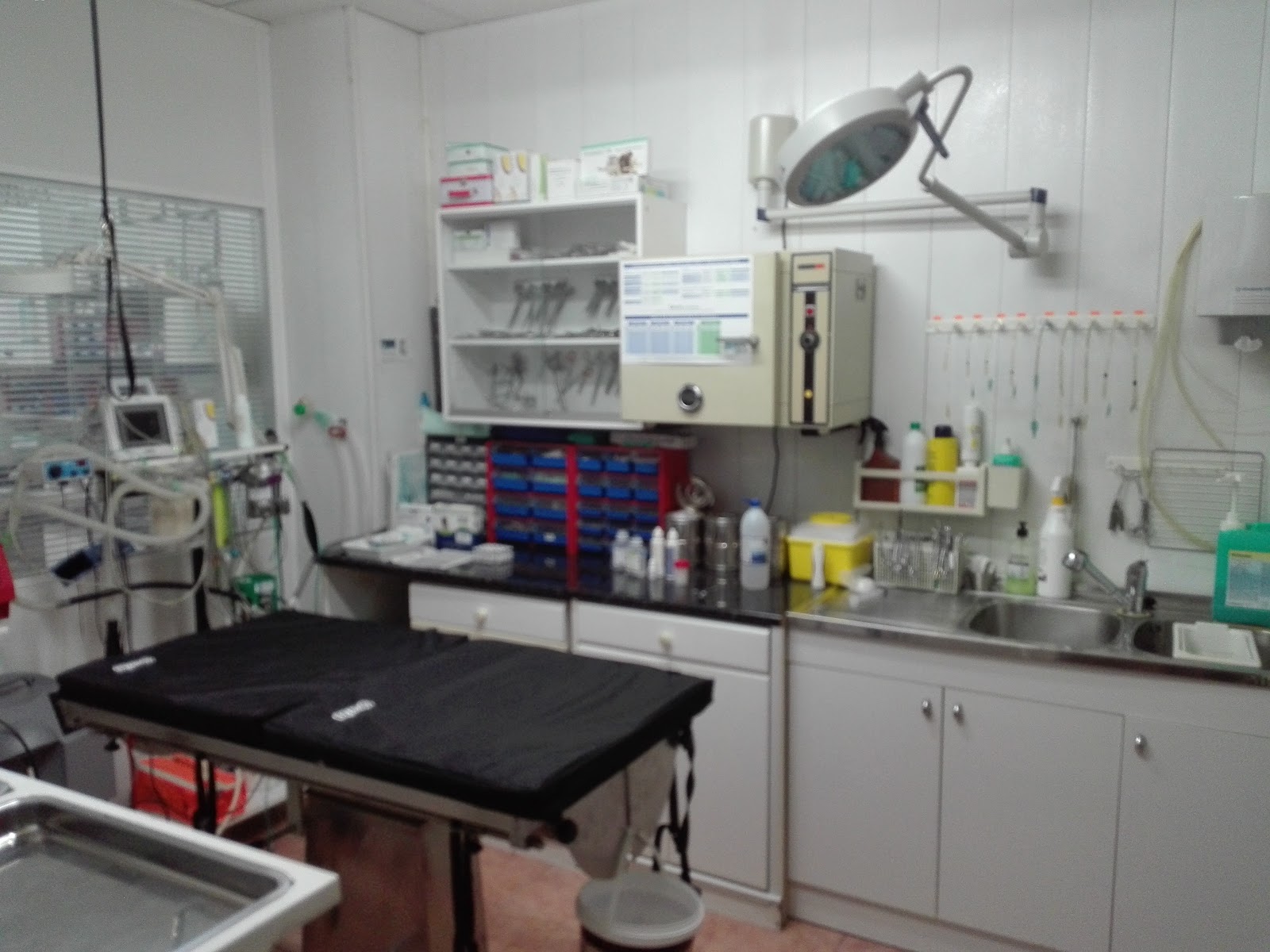 Clínica veterinaria El Arca
