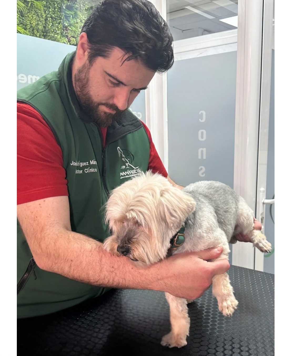 Clínica veterinaria Clinica Veterinaria Mamiferos