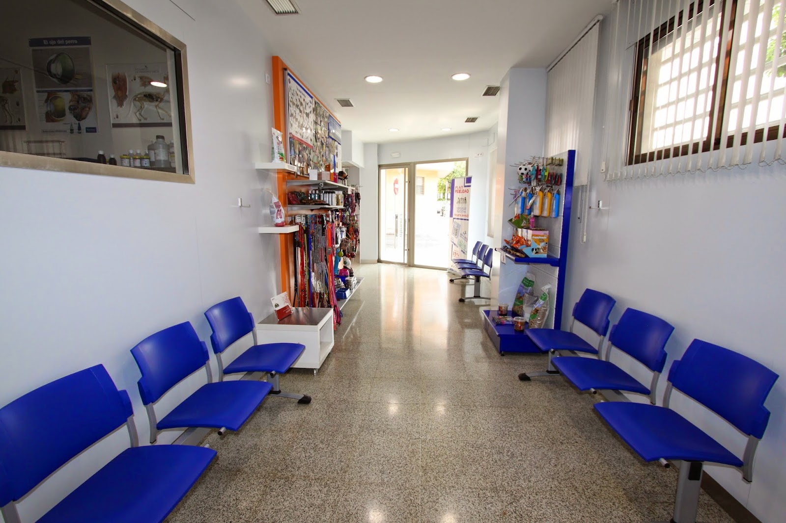 Clínica veterinaria Centro Veterinario Avanzado Juan de Ávila. Urgencias 24 horas y Especialidades