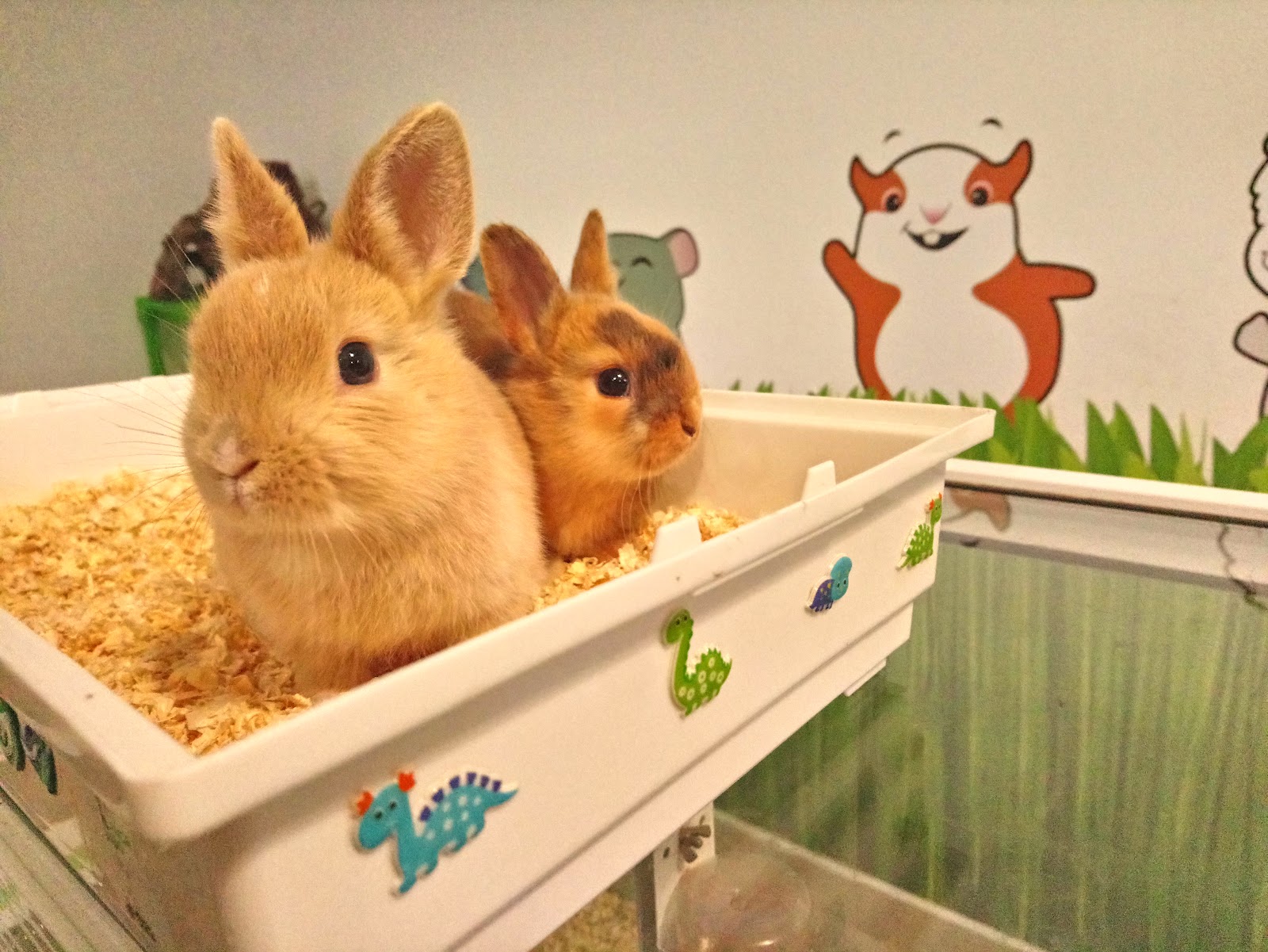 Clínica veterinaria TOTVIU