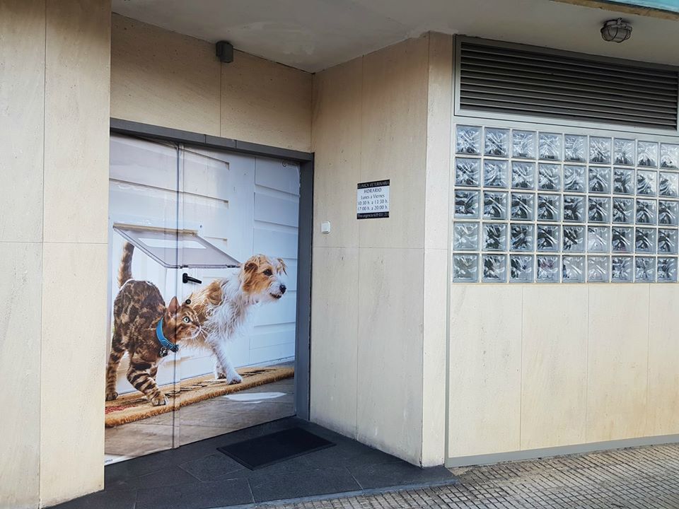 Clínica veterinaria Clínica Veterinaria Sardinero