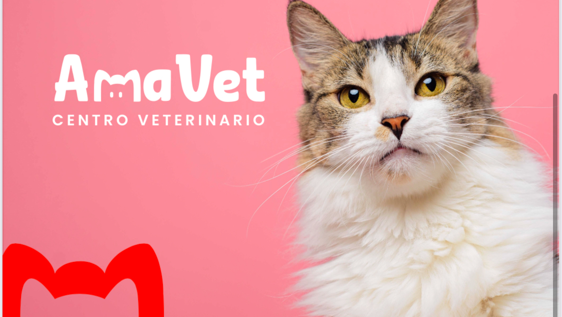 Clínica veterinaria AmaVet Centro Veterinario