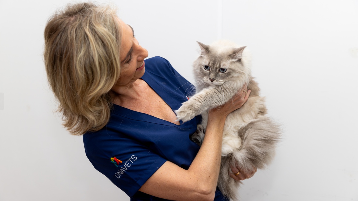 Clínica veterinaria Clinica Veterinaria Coso