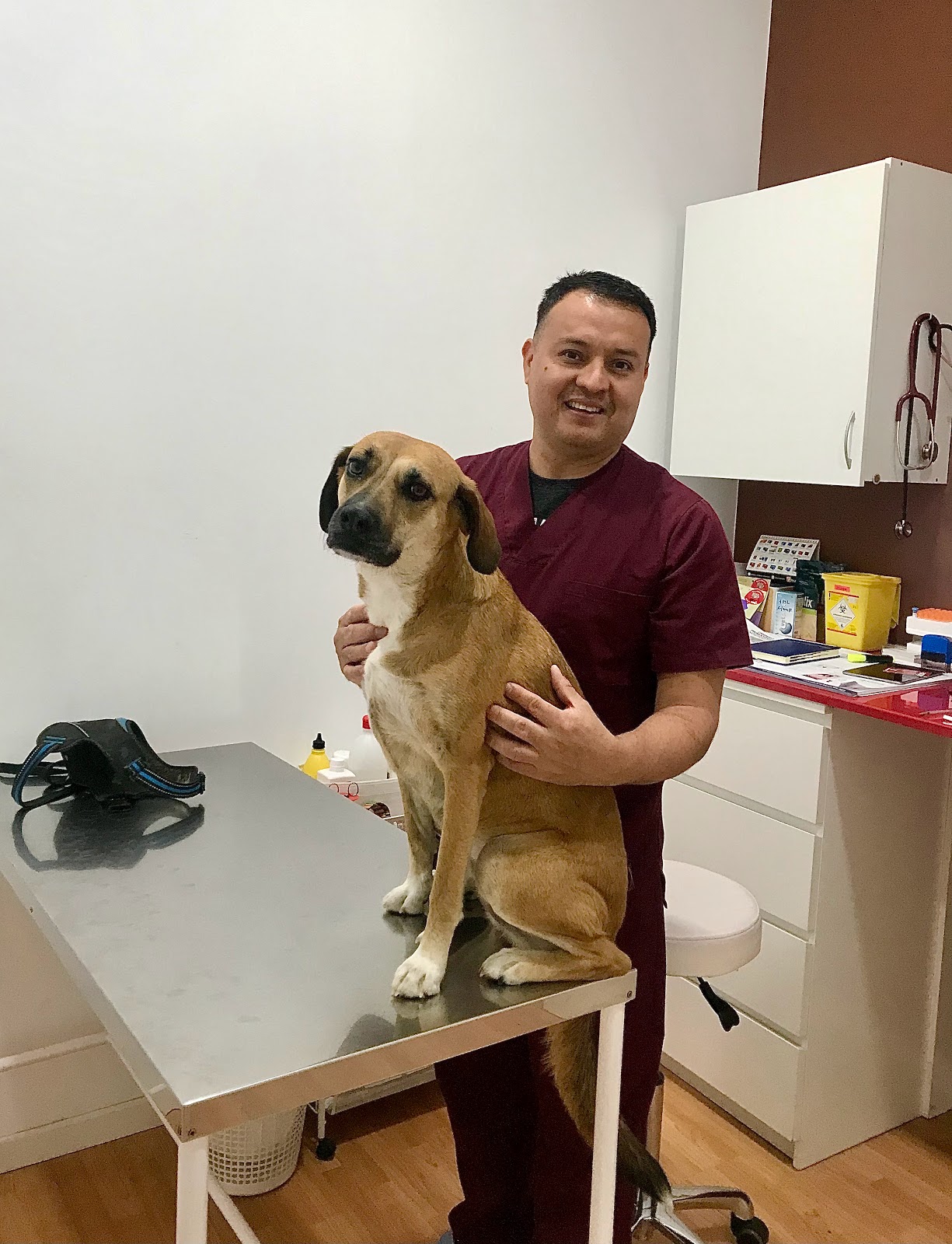 Clínica veterinaria Pet Médica VETERINARIA