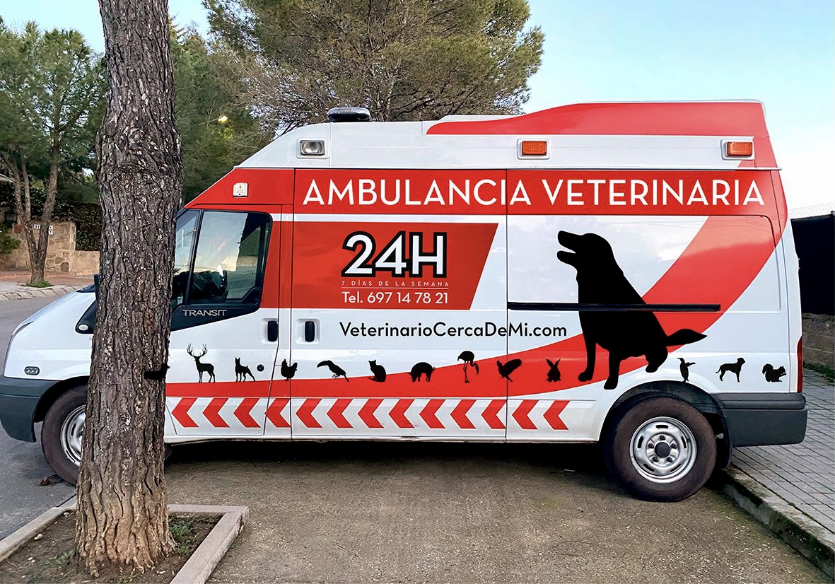 Clínica veterinaria Ambulancia Veterinaria