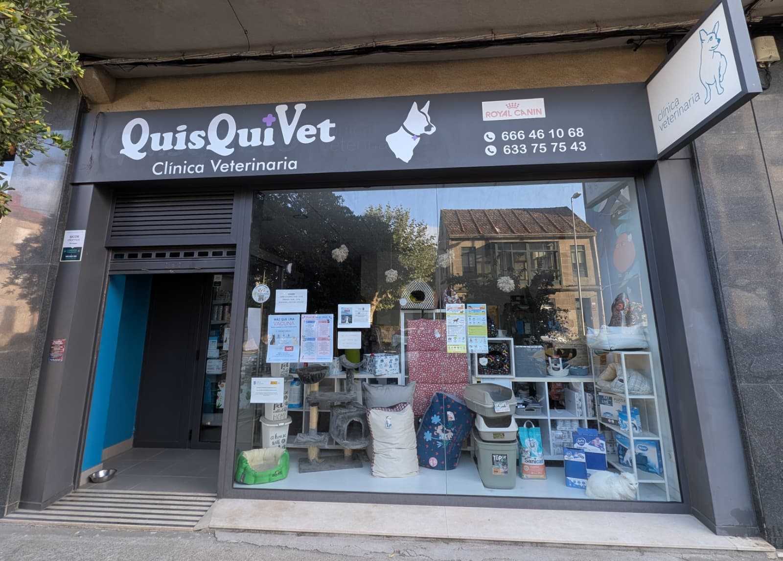 Clínica veterinaria Clínica Veterinaria Quisquivet