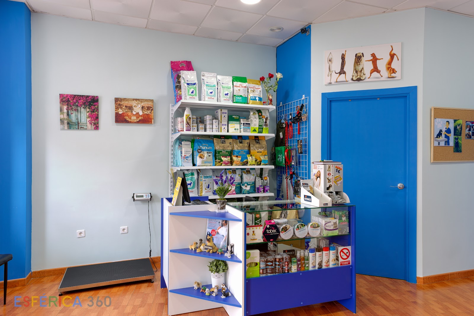 Clínica veterinaria Centro Veterinario Califal
