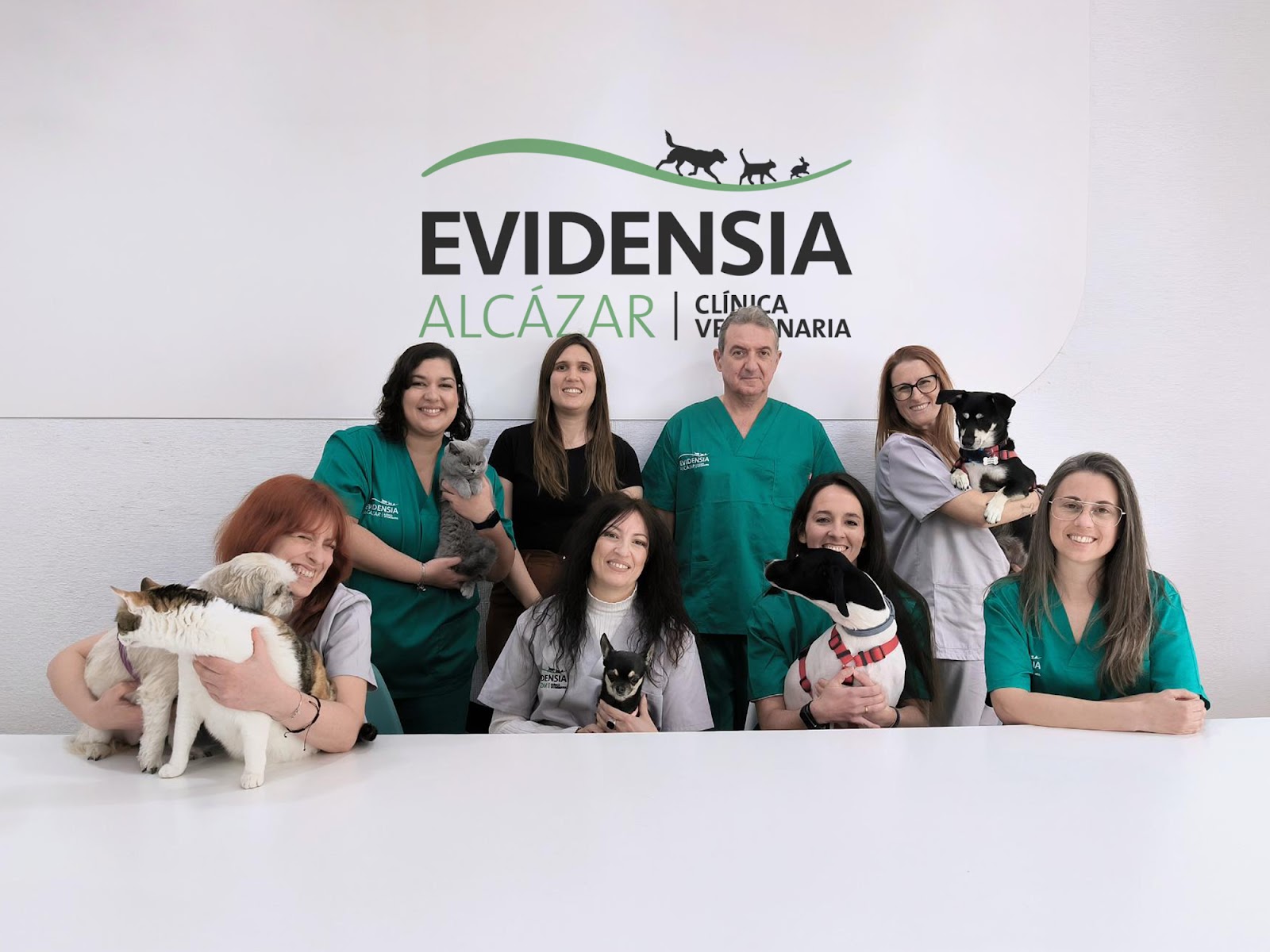 Clínica veterinaria Evidensia Alcázar Clínica Veterinaria