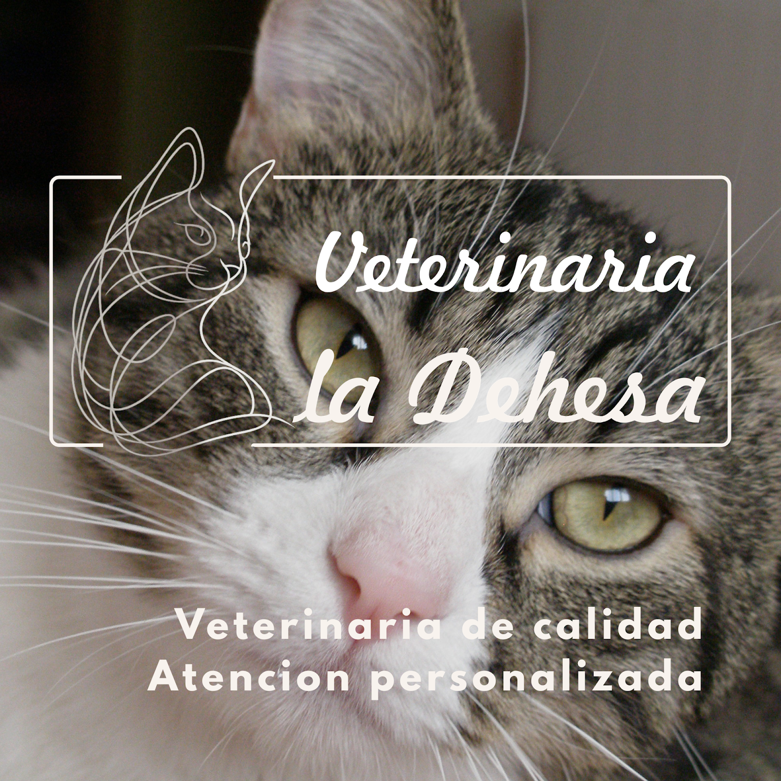 Clínica veterinaria Veterinaria La Dehesa. San Sebastian de los Reyes