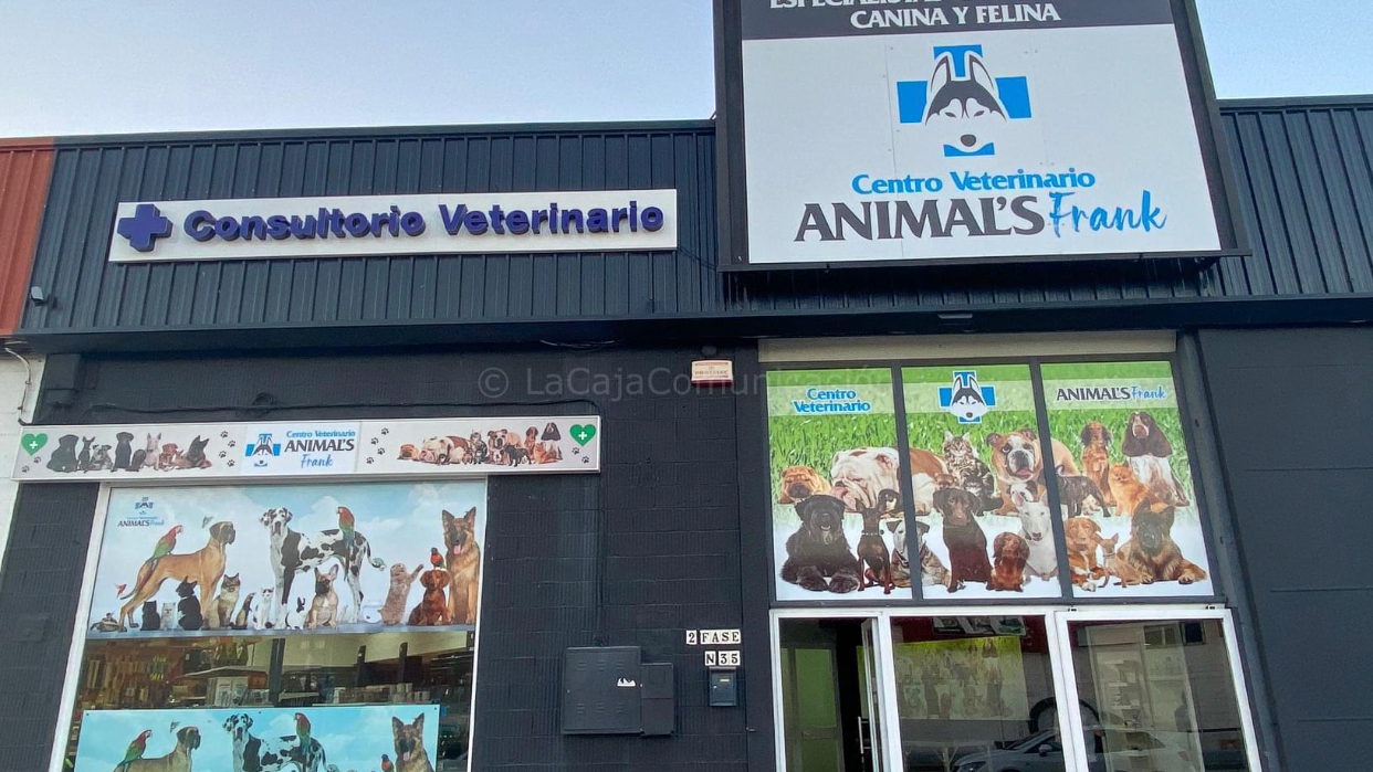 Clínica veterinaria Clínica Veterinaria Animals Frank