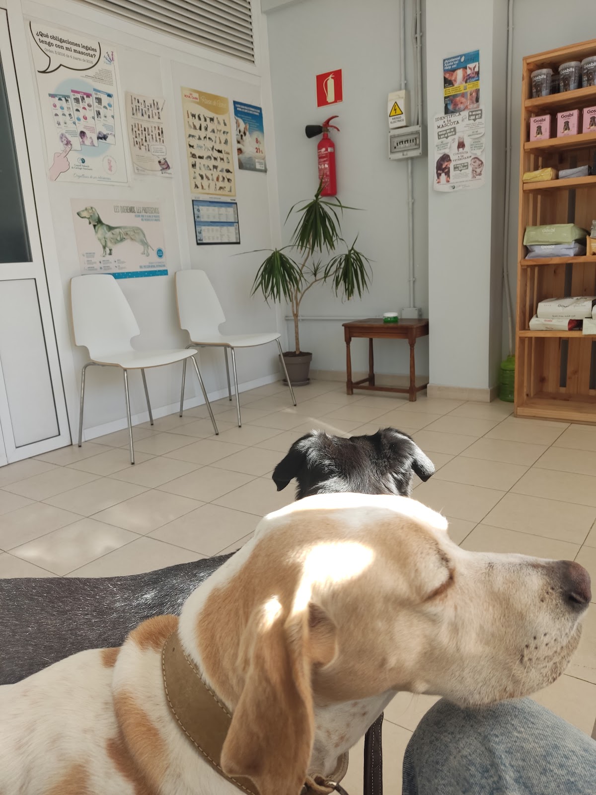 Clínica veterinaria Centro Veterinario La Nao