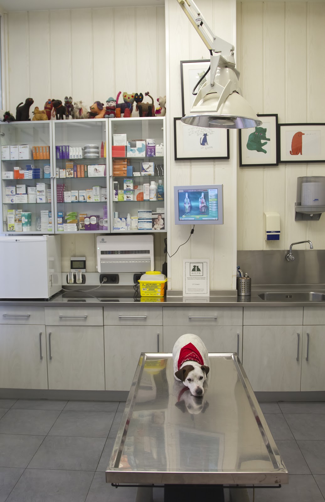Clínica veterinaria Clínica Veterinaria Karmelo