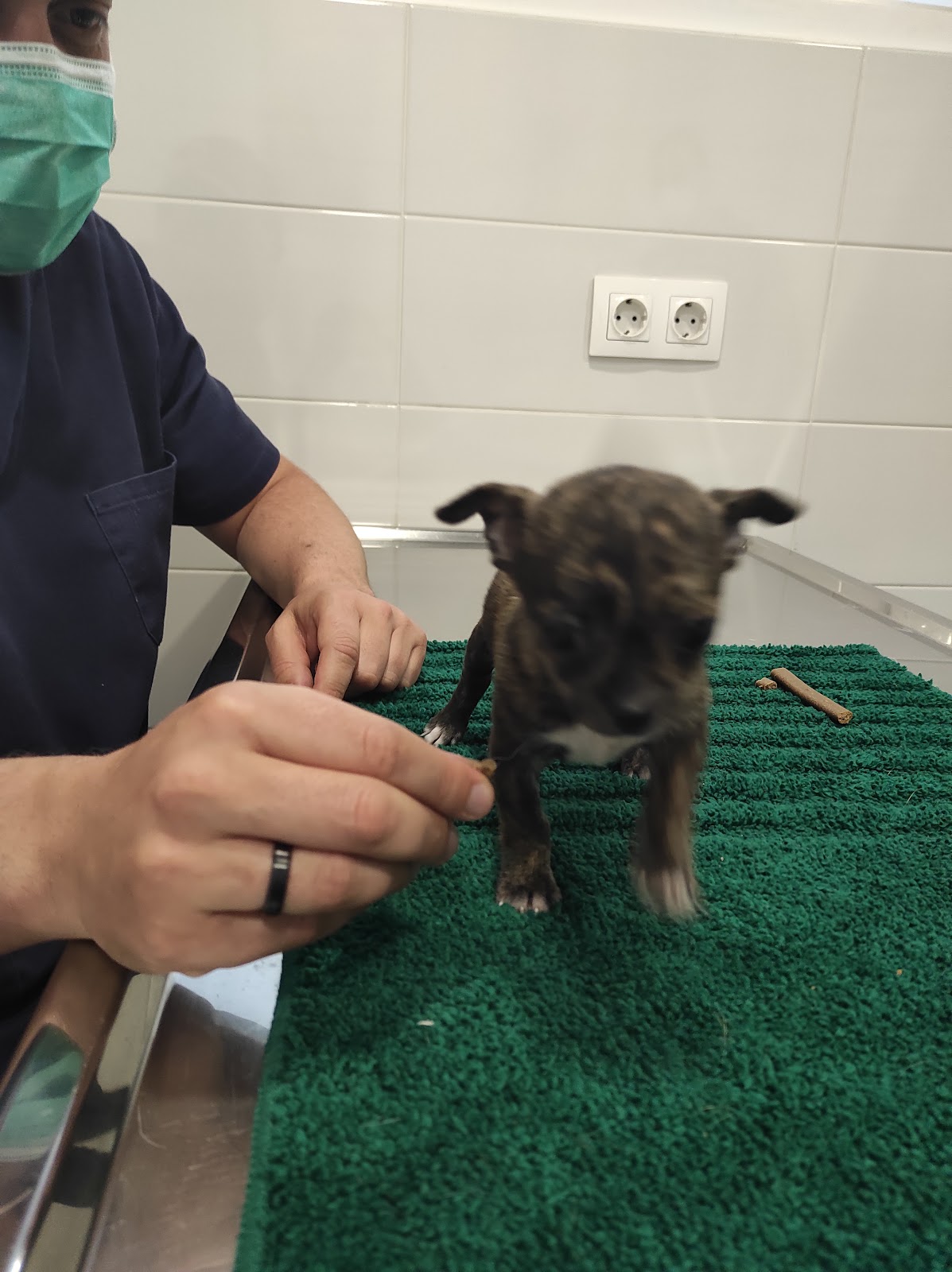 Clínica veterinaria Clínica Veterinaria Los Prados