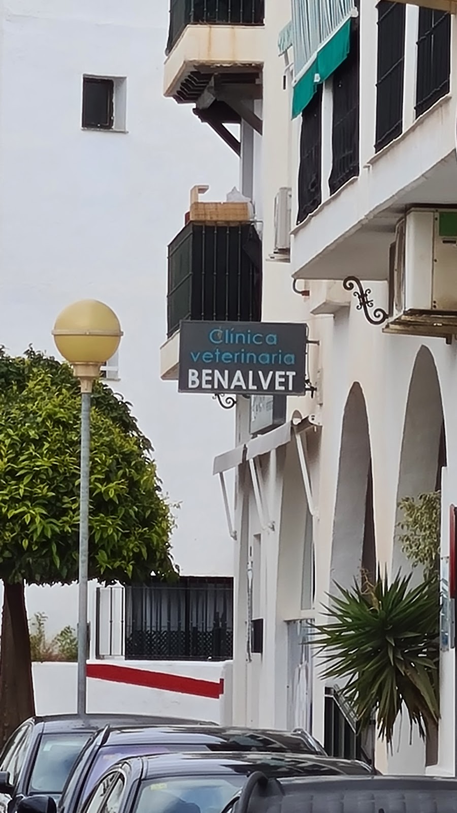 Clínica veterinaria Clínica Veterinaria Benalvet