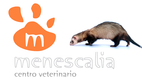 Clínica veterinaria Centro Veterinario Menescalia