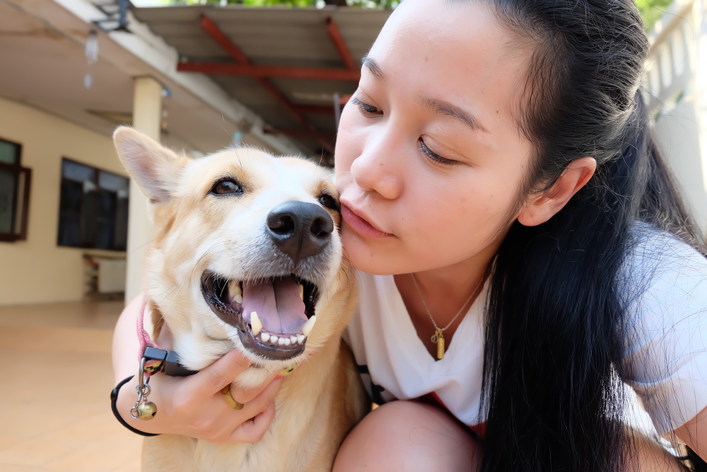 Clínica veterinaria Dogtora Tu Veterinaria A Domicilio