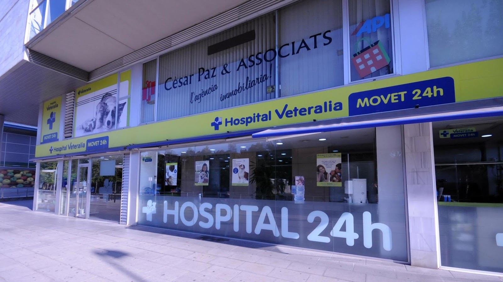 Clínica veterinaria Hospital Veteralia Movet…