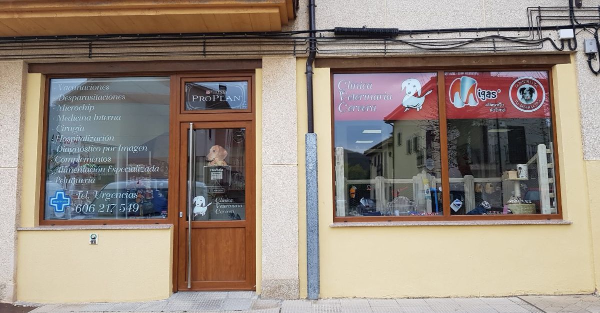 Clínica veterinaria Clínica Veterinaria Cervera