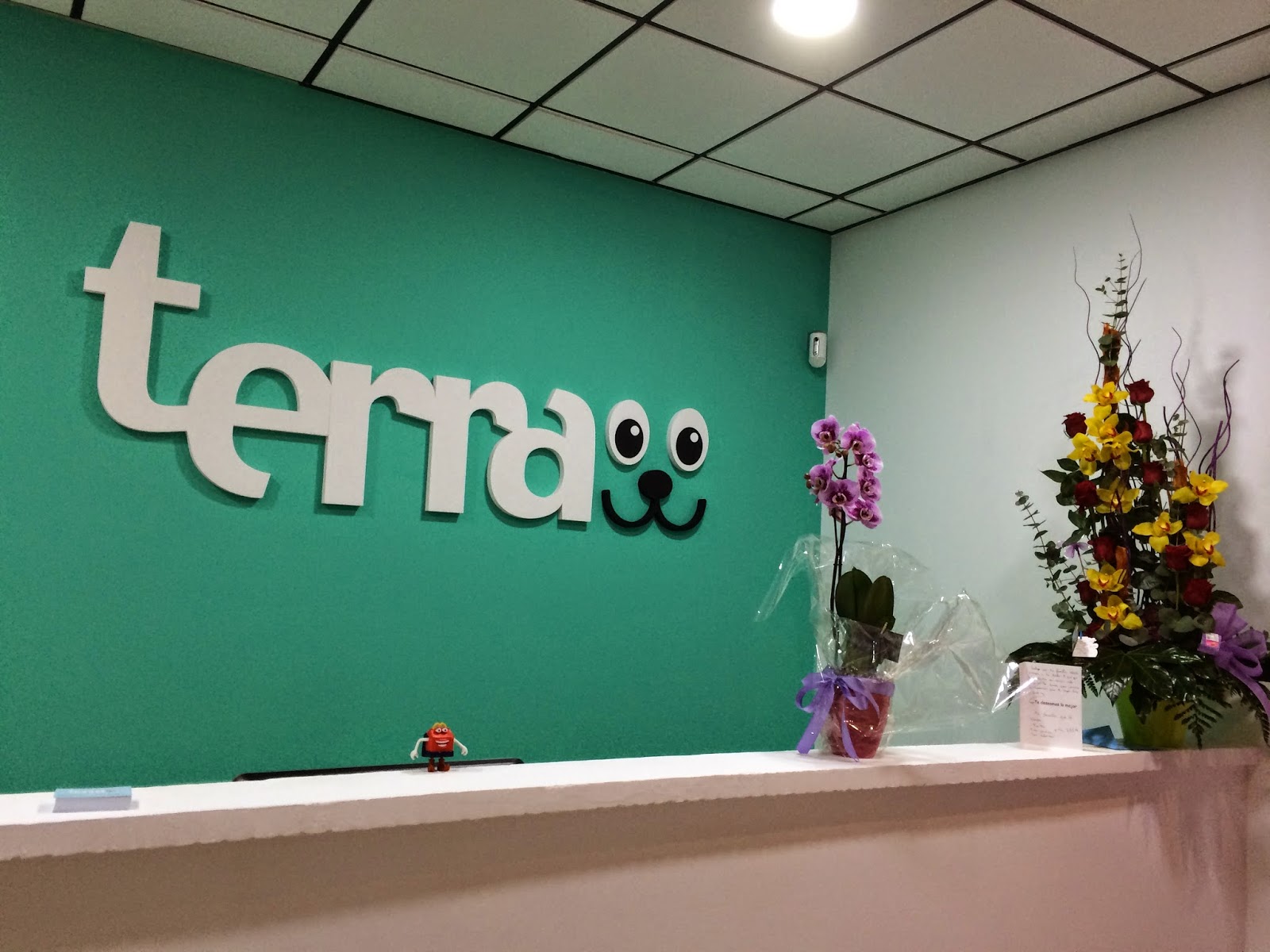 Clínica veterinaria Clinica Veterinaria Terra (Catarroja)