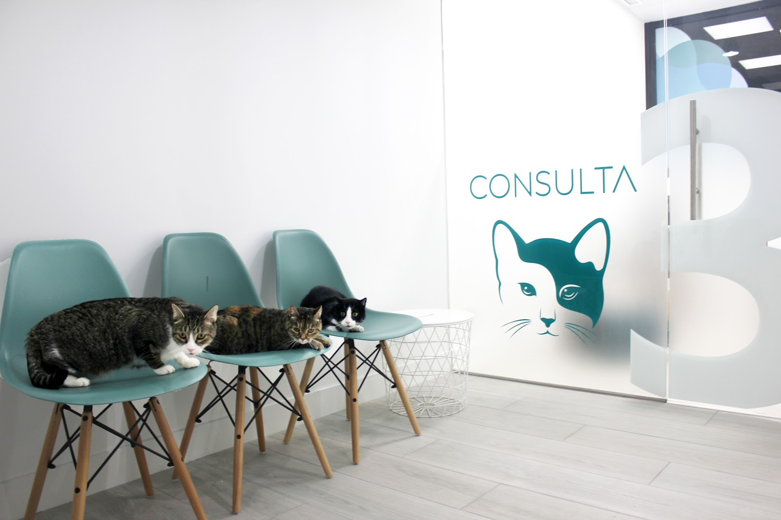 Clínica veterinaria Hospital Veterinario Siglo XXI Boadilla del Monte