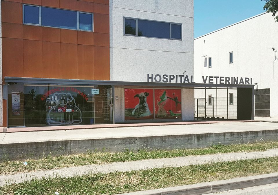 Clínica veterinaria Medivet Hospital Veterinario 24 horas Vic