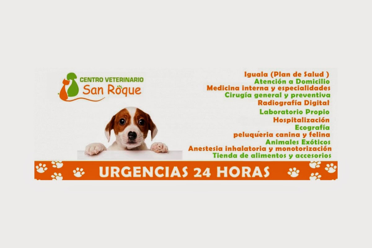 Clínica veterinaria Clínica Veterinaria San Roque