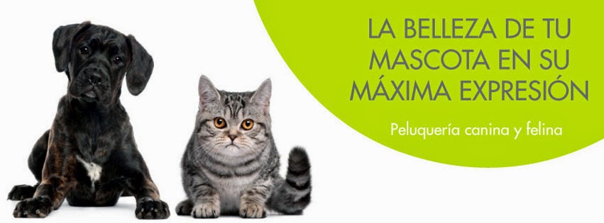 Clínica veterinaria Clínica Veterinària Baix Penedès