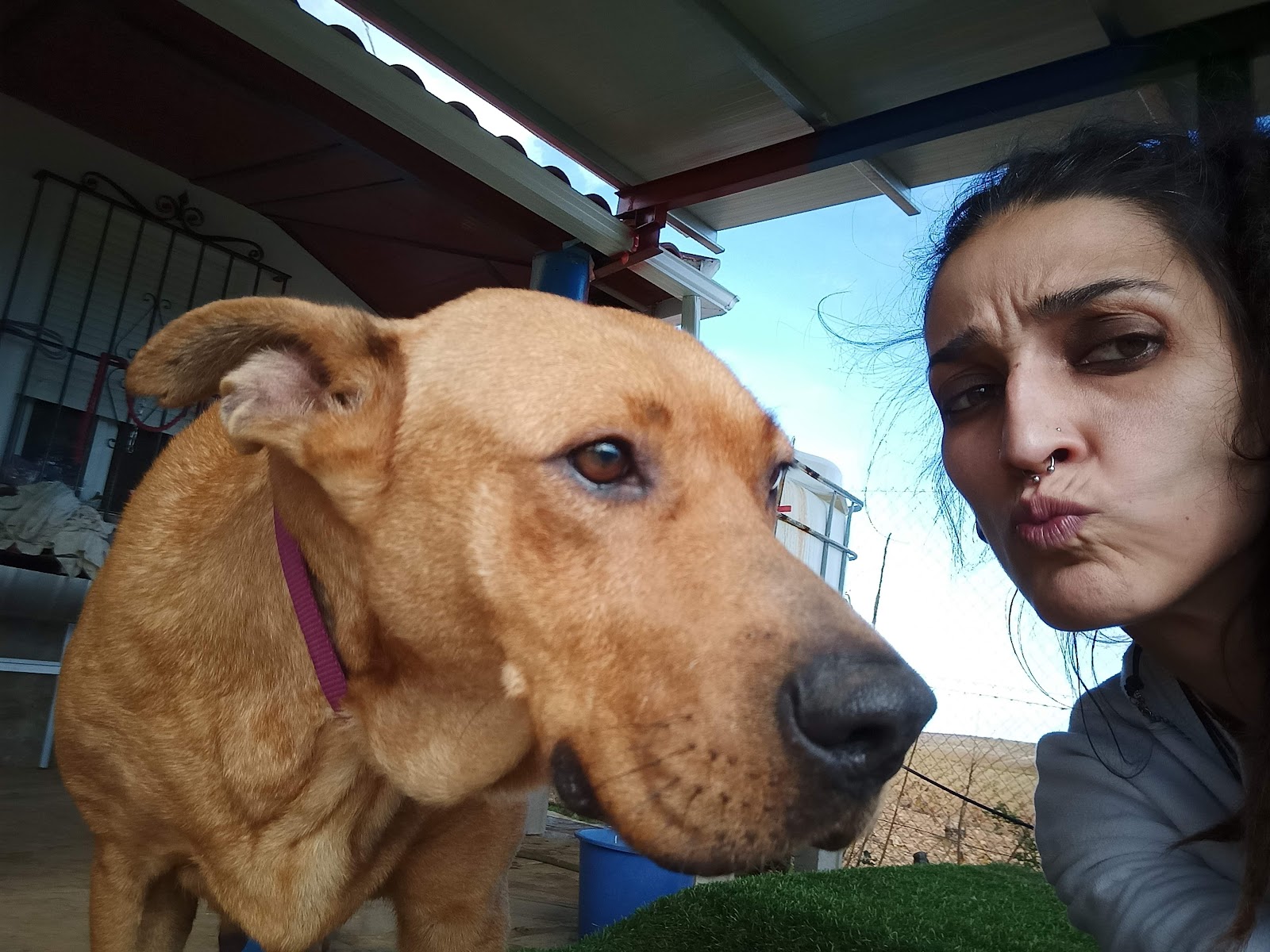 Clínica veterinaria Clínica Veterinaria Marpe