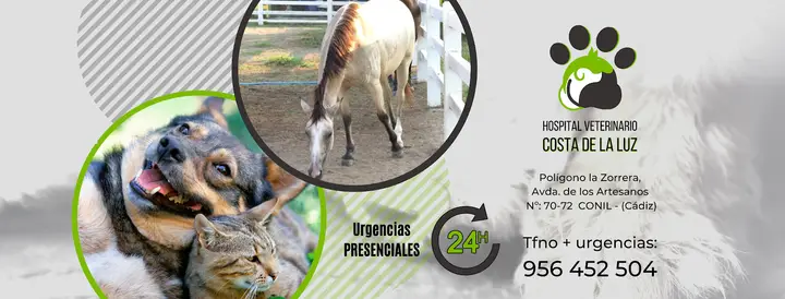 Foto de Hospital Veterinario Costa de la Luz