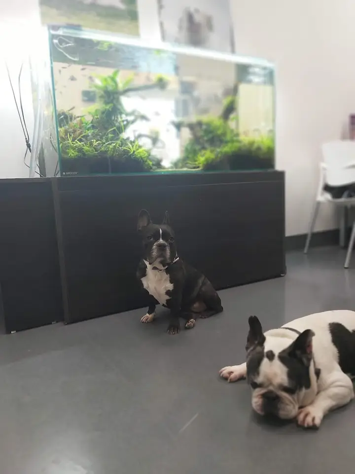 Foto de Anicura Aralar Hospital Veterinario