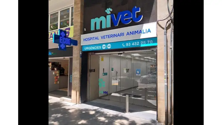 Foto de Hospital Veterinario MiVet Animalia