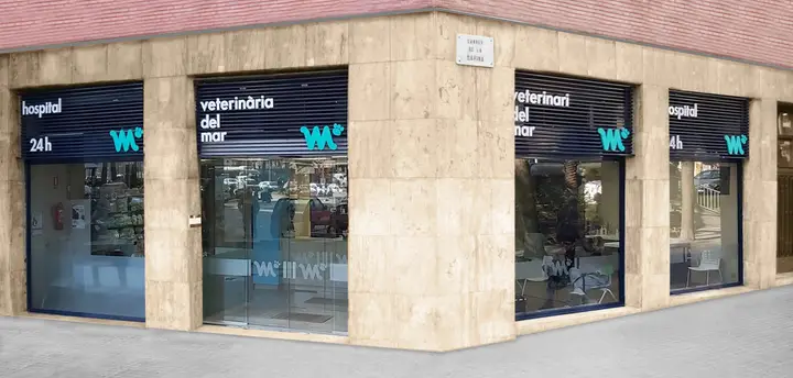 Foto de Hospital Veterinaria del Mar